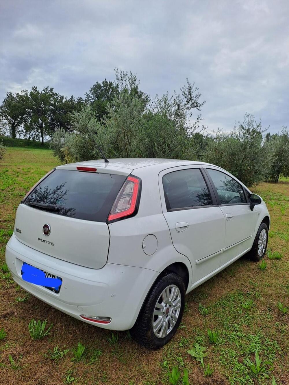 Fiat Punto usata a Perugia (3)