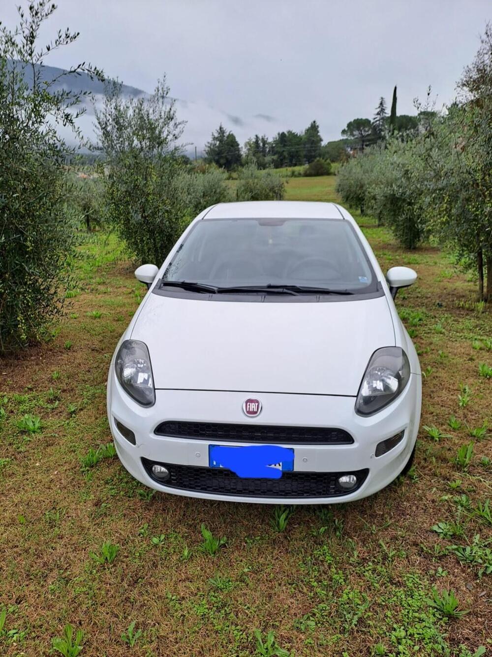 Fiat Punto usata a Perugia (4)