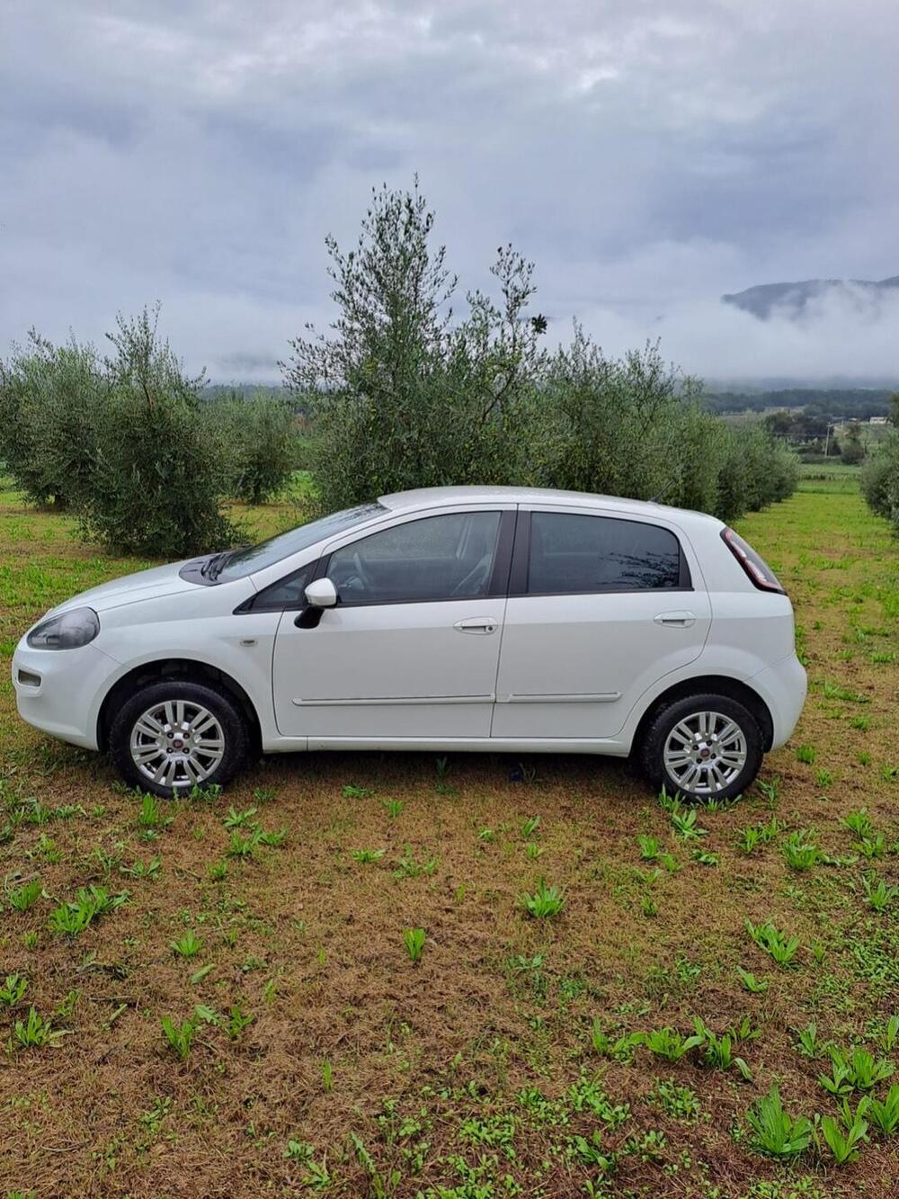 Fiat Punto usata a Perugia (5)