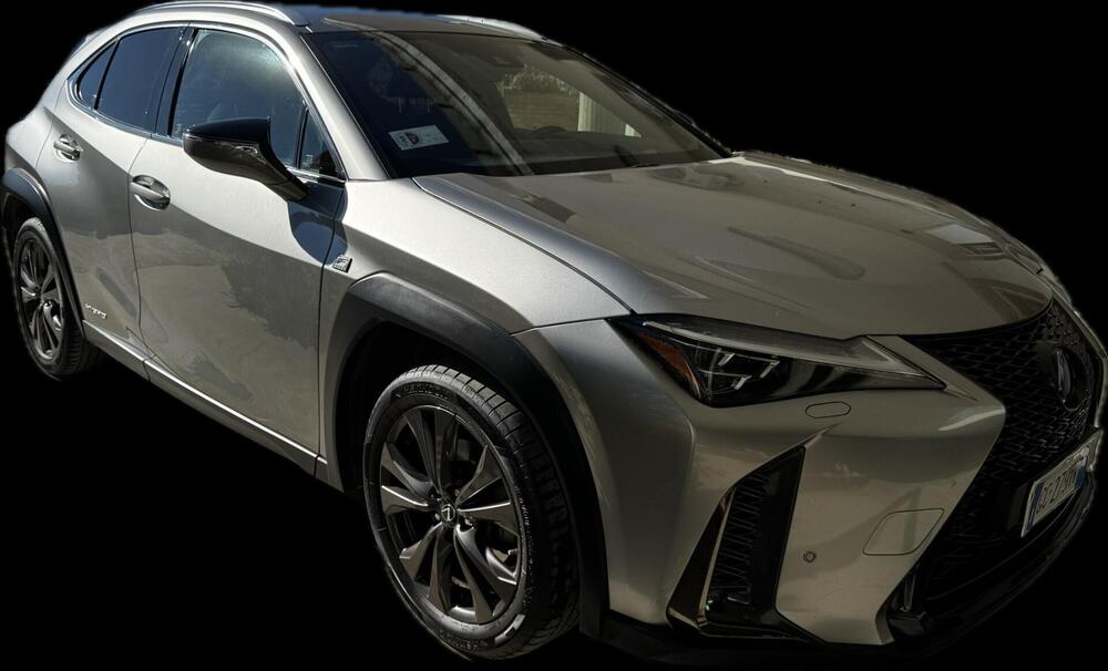 Lexus UX usata a Teramo (13)