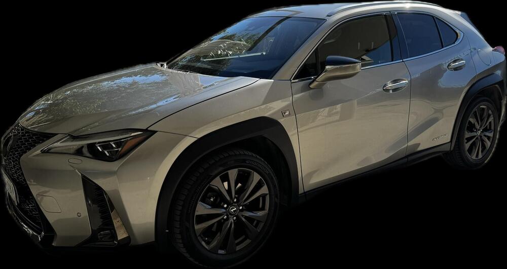 Lexus UX usata a Teramo