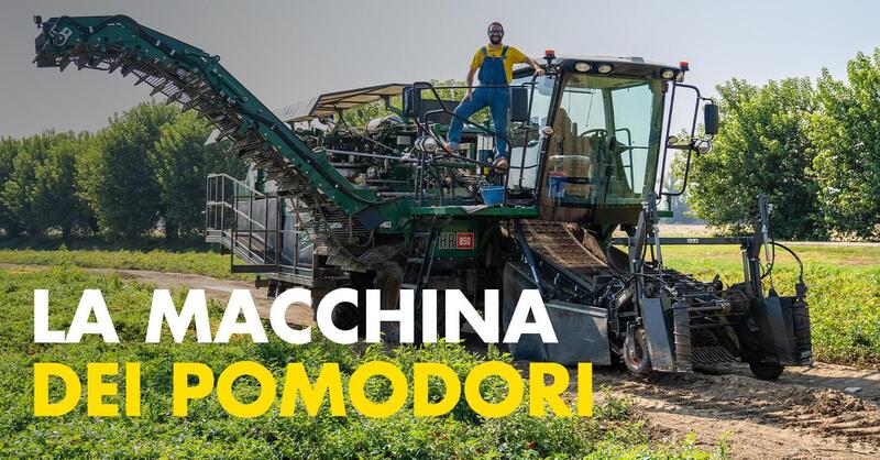 Come si raccolgono i pomodori? Tutti i segreti di una macchina raccoglitrice da 360.000 &euro; [Video]