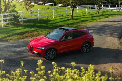 Alfa Romeo Giulia e Stelvio non mollano mai: arriva l'Edizione Carbonio