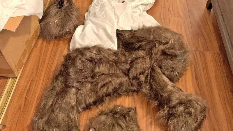 Nuova truffa all'assicurazione: "mi &egrave; entrato un orso nella Rolls Royce"