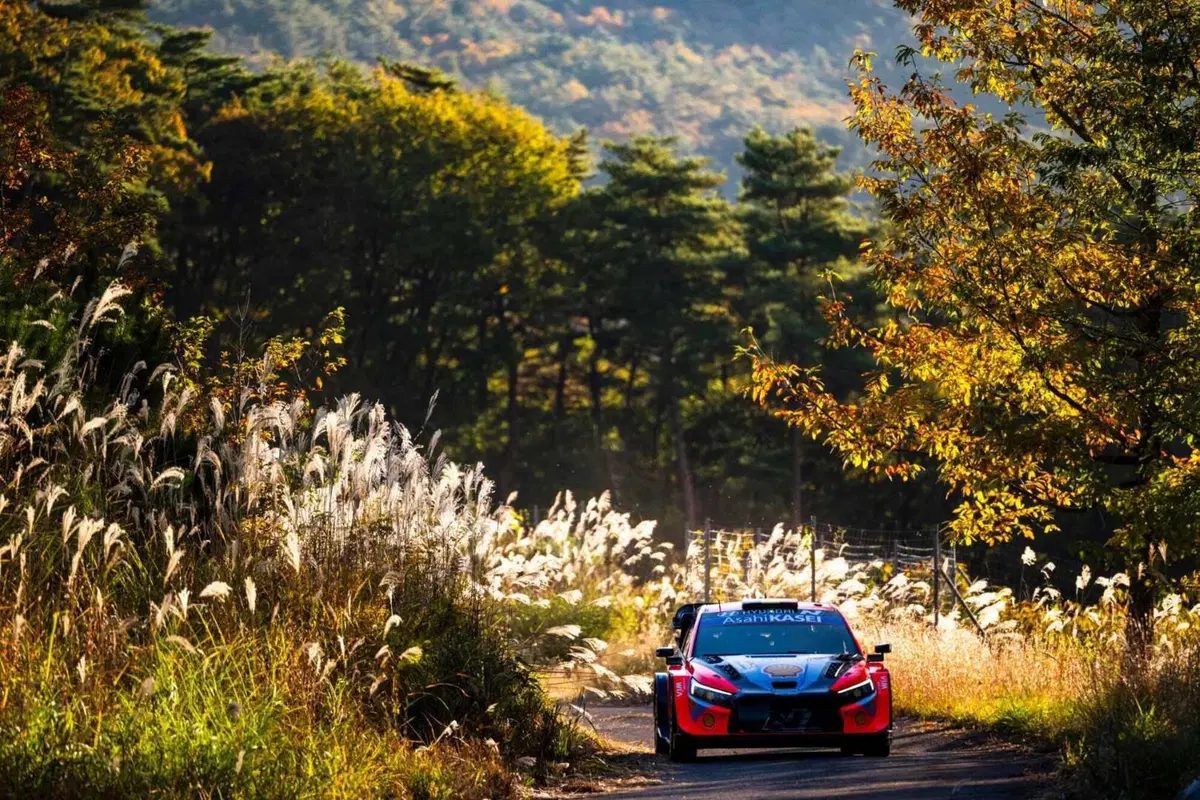 WRC24 Japan D3. Tanak in testa, ma Neuville è tornato! [VIDEO] (3)