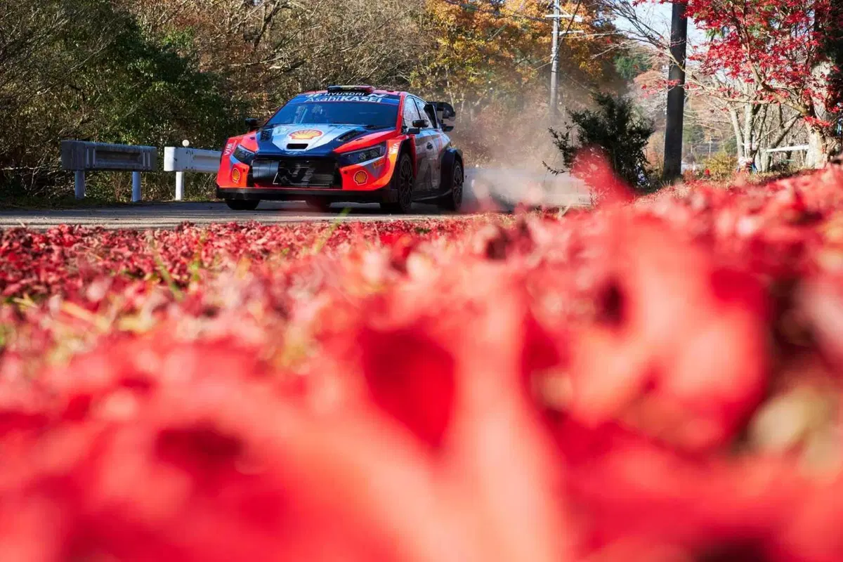 WRC24 Japan. Thierry Neuville, Hyundai, è Campione del Mondo! [VIDEO] (11)