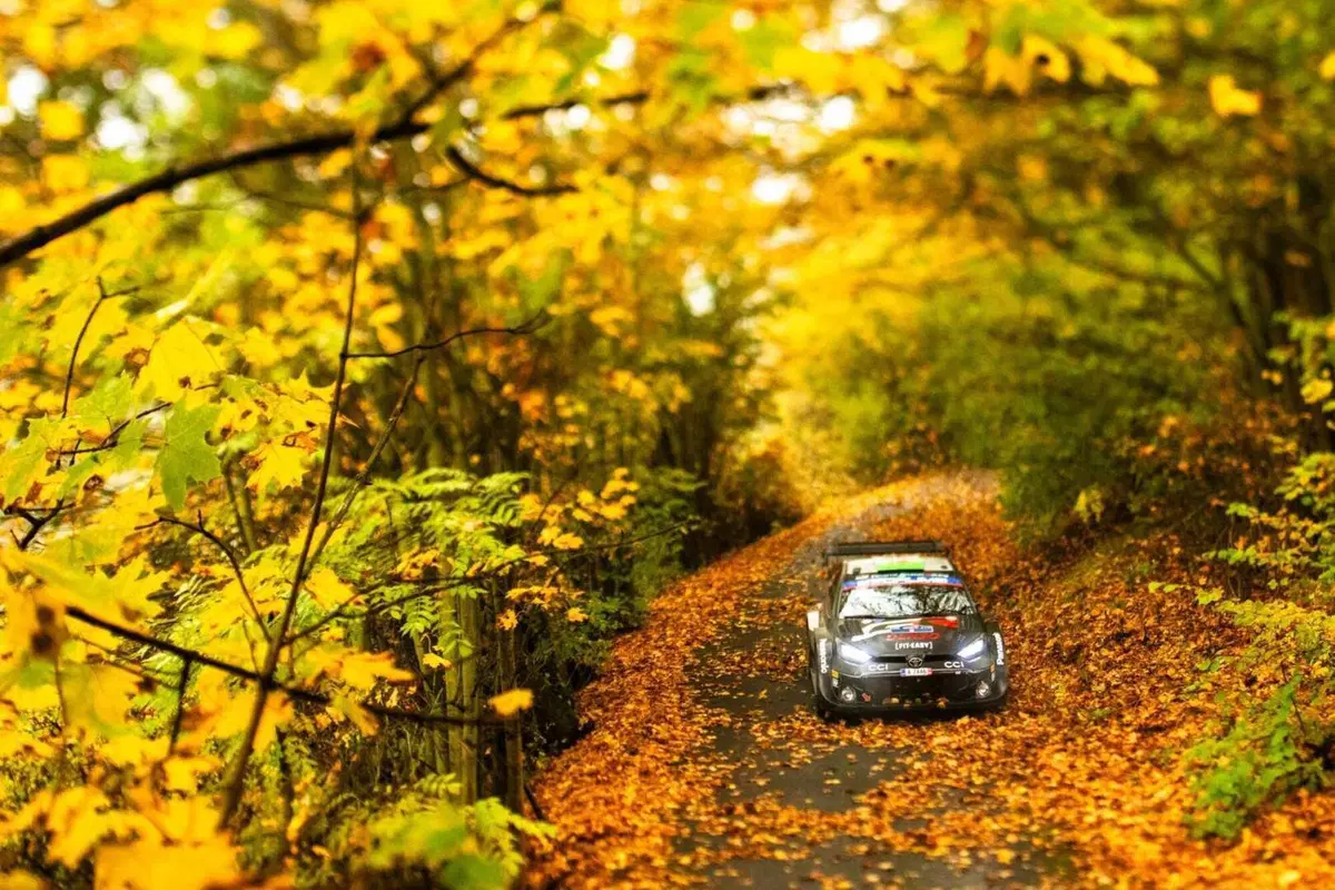 WRC24 Japan. Thierry Neuville, Hyundai, è Campione del Mondo! [VIDEO] (38)
