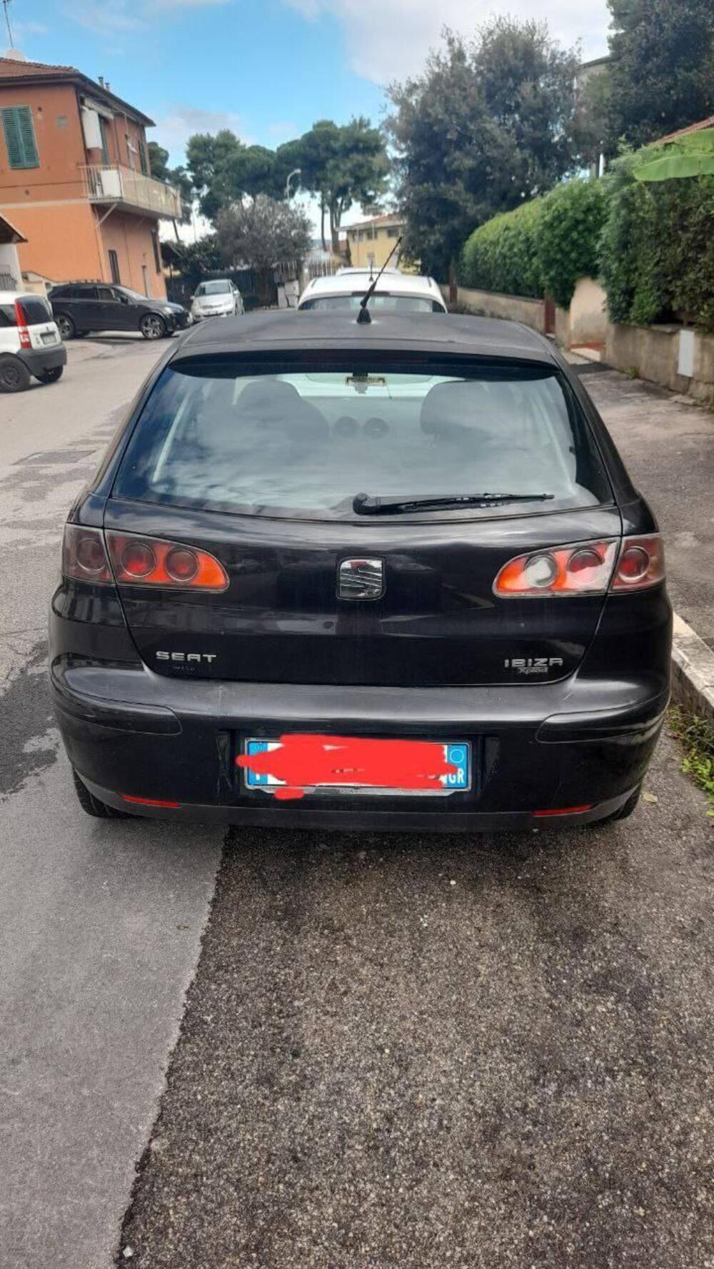 SEAT Ibiza usata a Grosseto