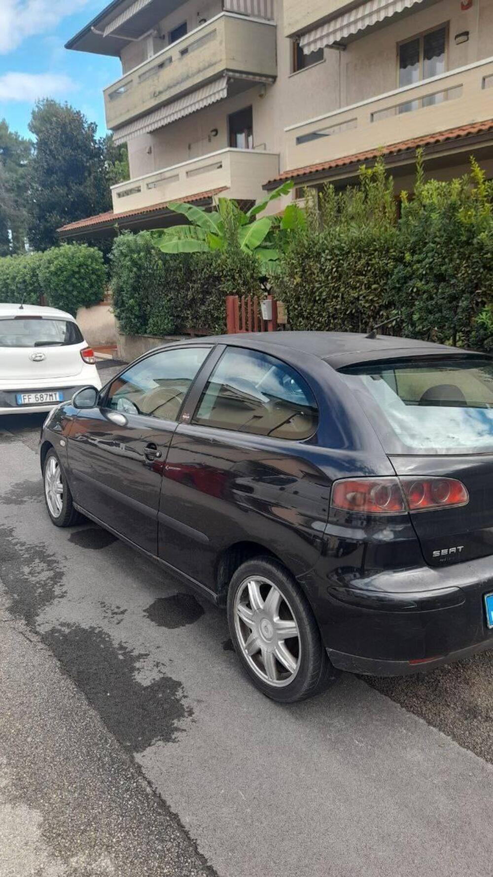 SEAT Ibiza usata a Grosseto (3)