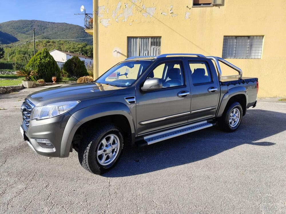 Great Wall Steed Pick-up usata a Isernia (2)