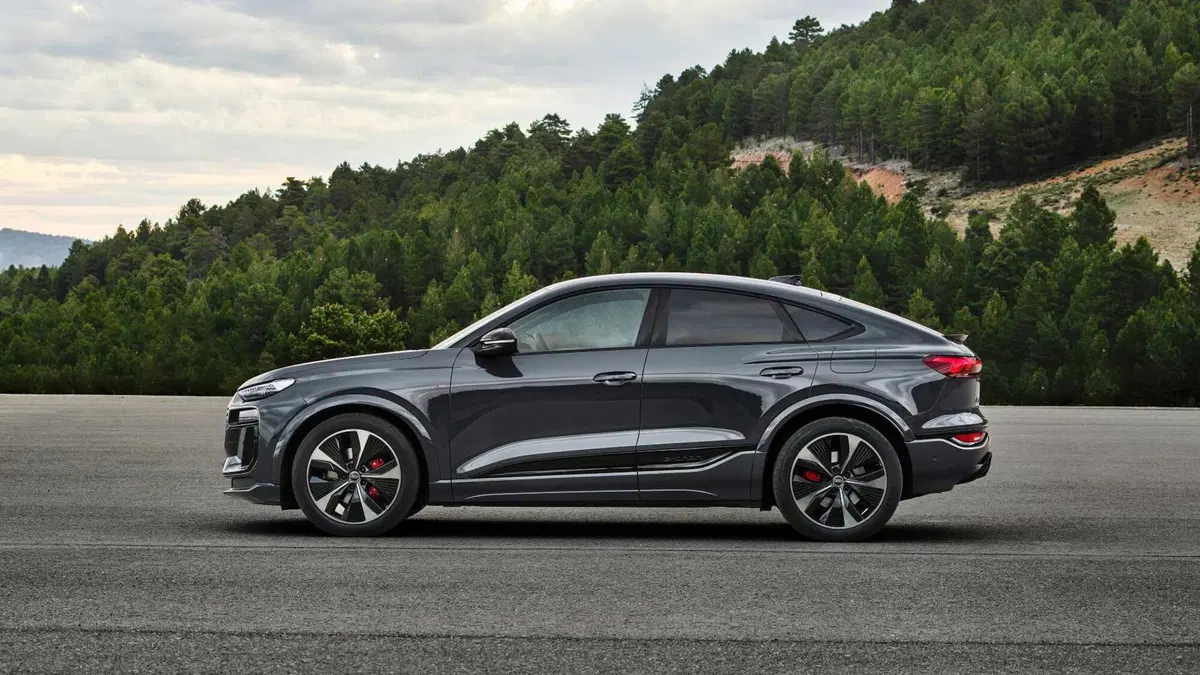 Audi Q6 Sportback (2024-->>) (6)