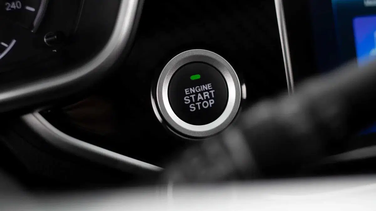 Cirelli Cirelli Sport (2024-->>) (31)