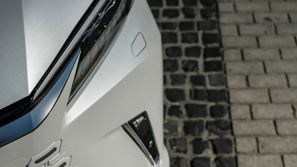 Lexus LM (16)