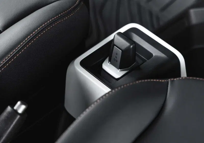 Dacia Spring (23)