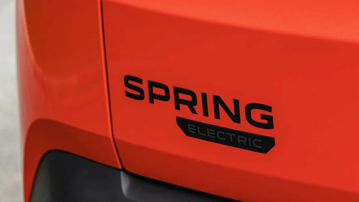 Dacia Spring Business Electric 45 (17)