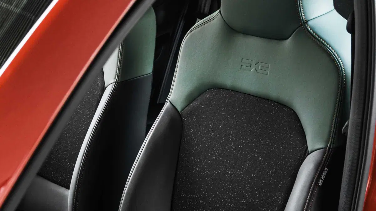 Dacia Spring Business Electric 45 (20)
