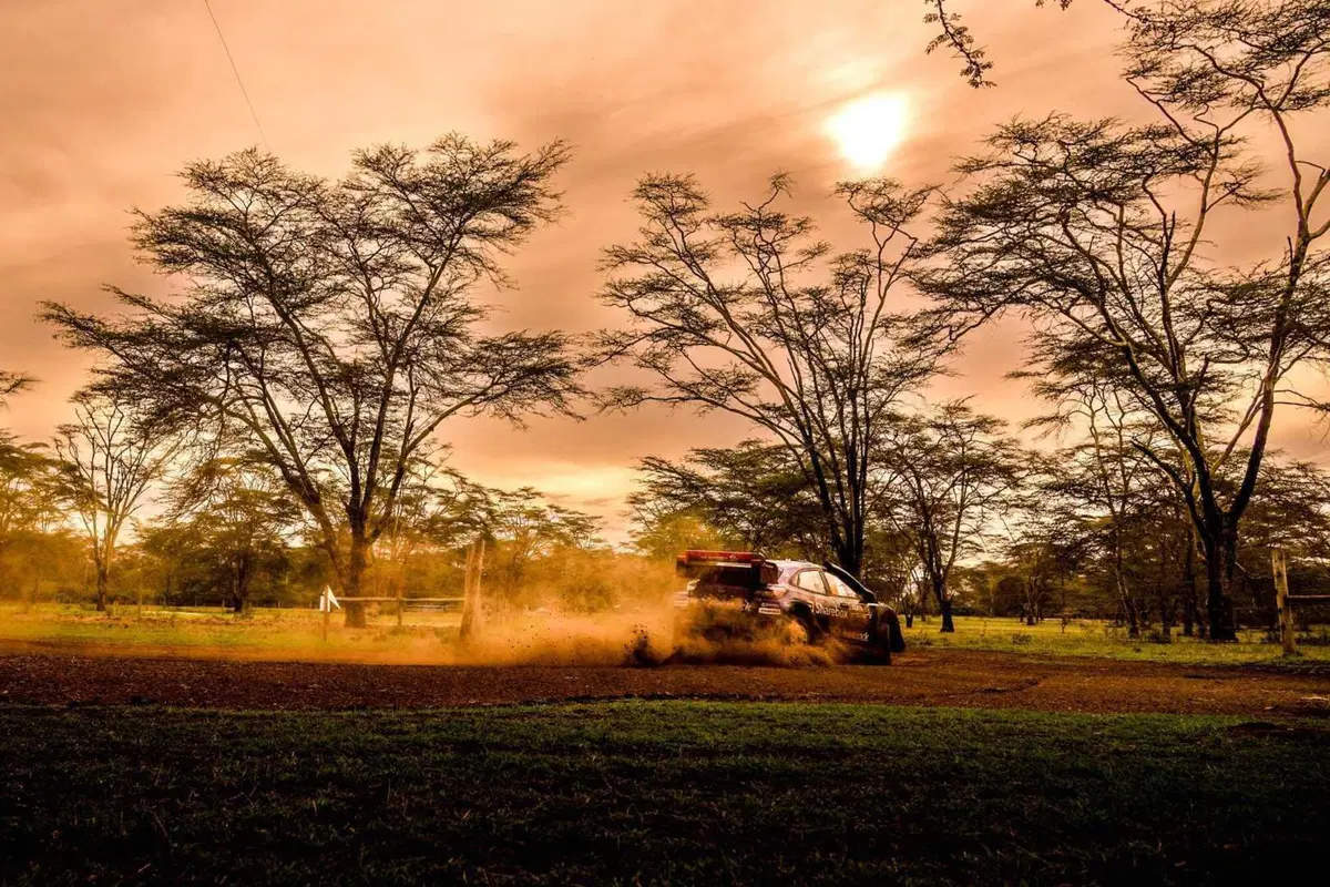 WRC25 Safari Kenya D1. Il Rally all’altro Mondo! [VIDEO] (13)
