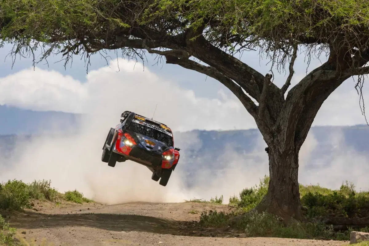 WRC25 Kenya D2. E bravo Tanak, ma ancora meglio Evans [VIDEO] (2)