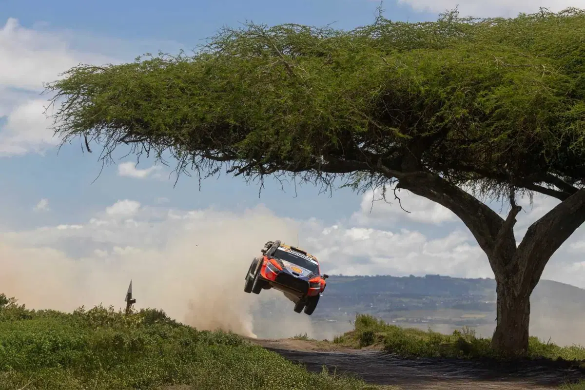 WRC25 Kenya D2. E bravo Tanak, ma ancora meglio Evans [VIDEO] (3)