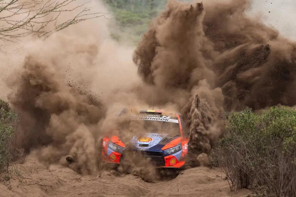 WRC25 Kenya D2. E bravo Tanak, ma ancora meglio Evans [VIDEO] (4)