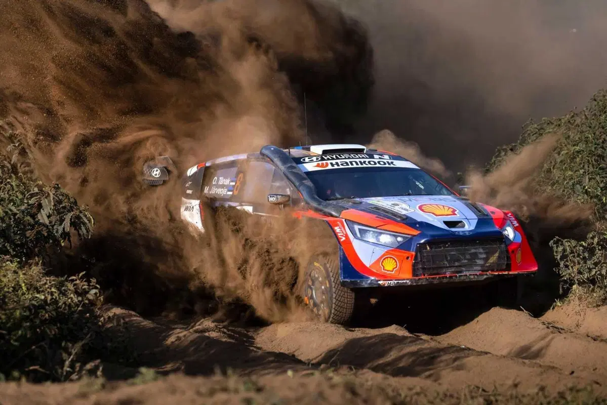 WRC25 Kenya D2. E bravo Tanak, ma ancora meglio Evans [VIDEO] (5)