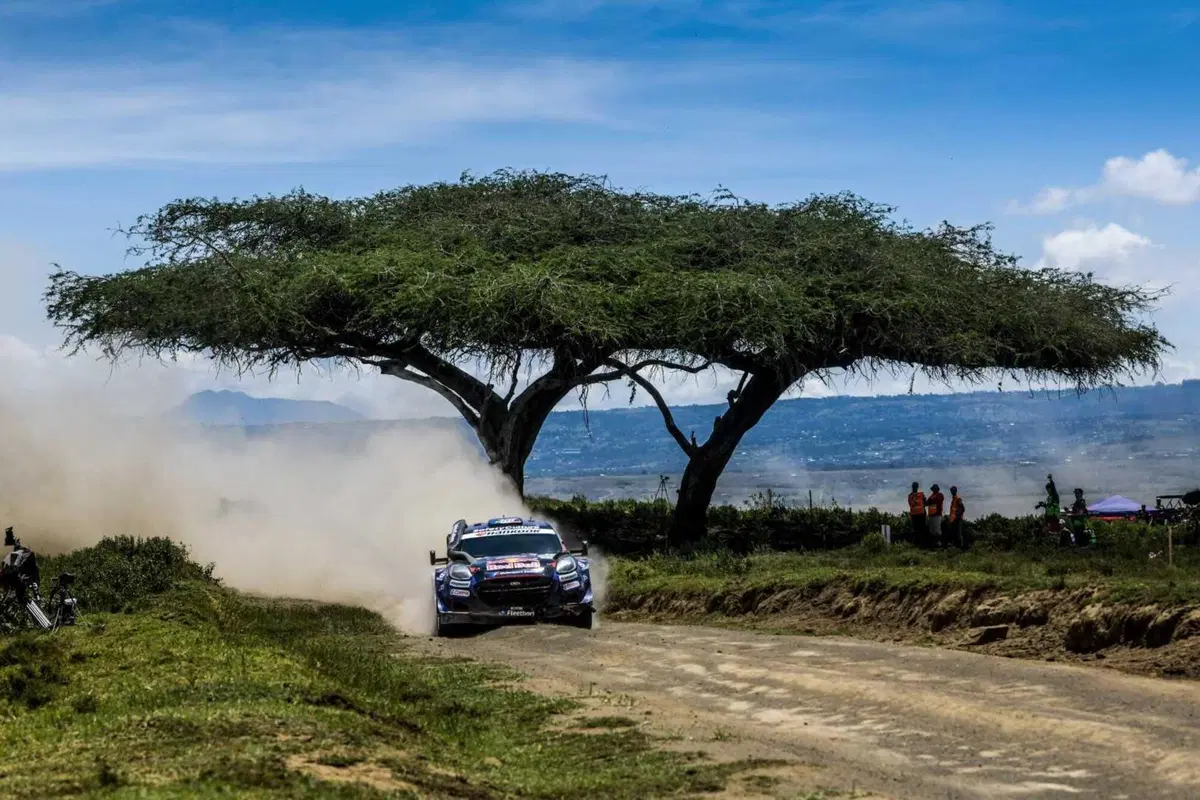 WRC25 Kenya D2. E bravo Tanak, ma ancora meglio Evans [VIDEO] (20)