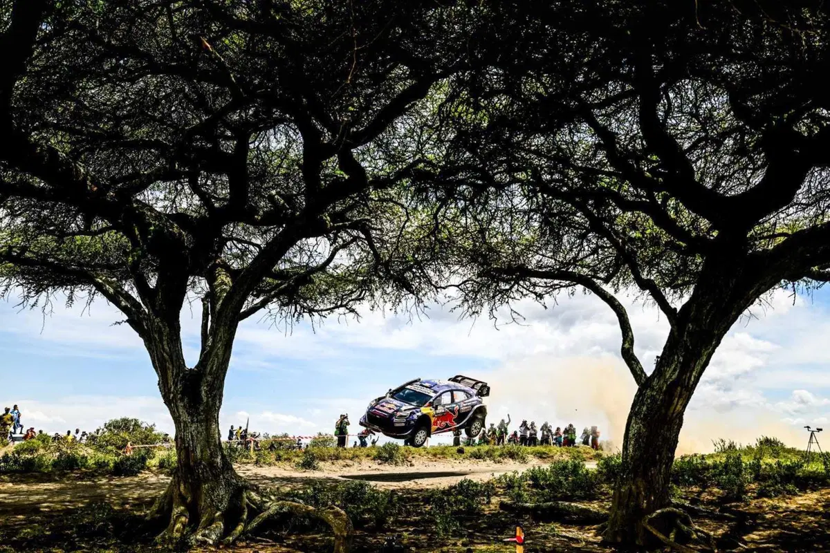 WRC25 Kenya D2. E bravo Tanak, ma ancora meglio Evans [VIDEO] (21)