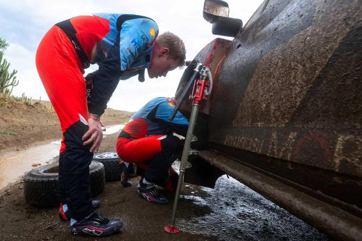 WRC25 Kenya. Vince il “Nuovo” Evans, Toyota [VIDEO] (28)