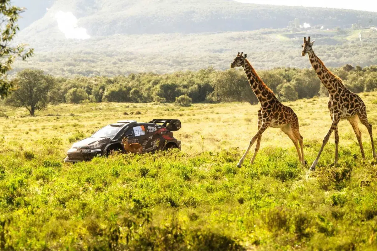 WRC25 Kenya. Vince il “Nuovo” Evans, Toyota [VIDEO] (38)
