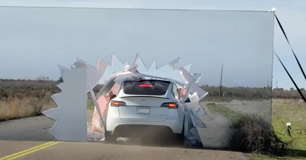 Tesla cade nella trappola dei Looney Tunes come Willy Coyote [VIDEO]