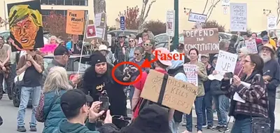 Tesla, la protesta degenera, supporter di Musk usa il Taser [VIDEO]