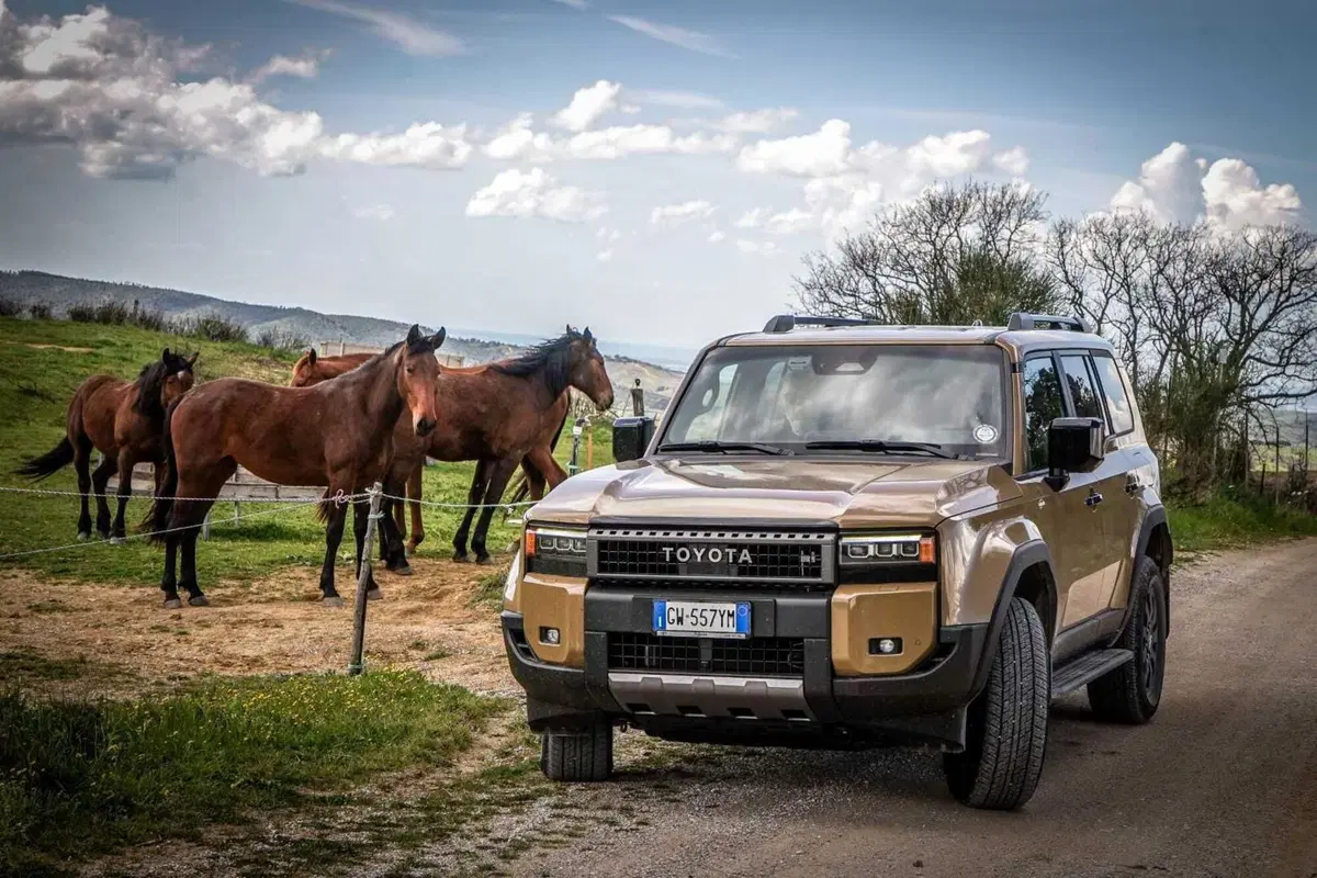 Come sono fatte le vere off-road? Gallery 1 Piero Batini (14)