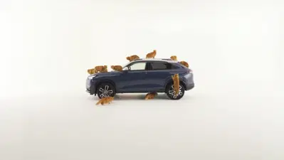 Pesce d'aprile Honda? L'auto ideale per i gatti ha i sedili speciali [VIDEO]