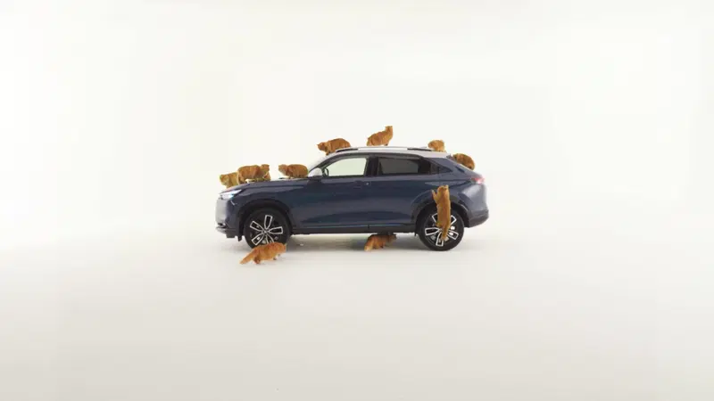 Pesce d'aprile Honda? L'auto ideale per i gatti ha i sedili speciali [VIDEO]