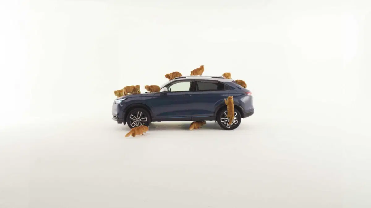 Pesce d'aprile Honda? L'auto ideale per i gatti ha i sedili speciali [VIDEO]