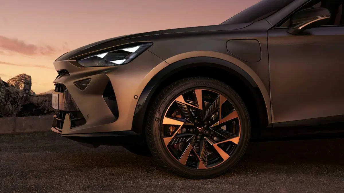 Cupra Formentor Formentor 1.4 e-hybrid Tribe Edition 204cv dsg (14)