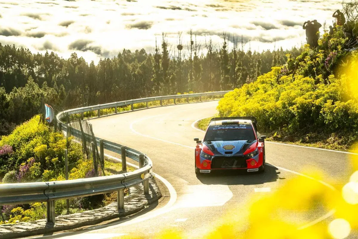 WRC25 Islas Canarias. 5 Toyota al comando (per ben incominciare) [GALLERY] (4)