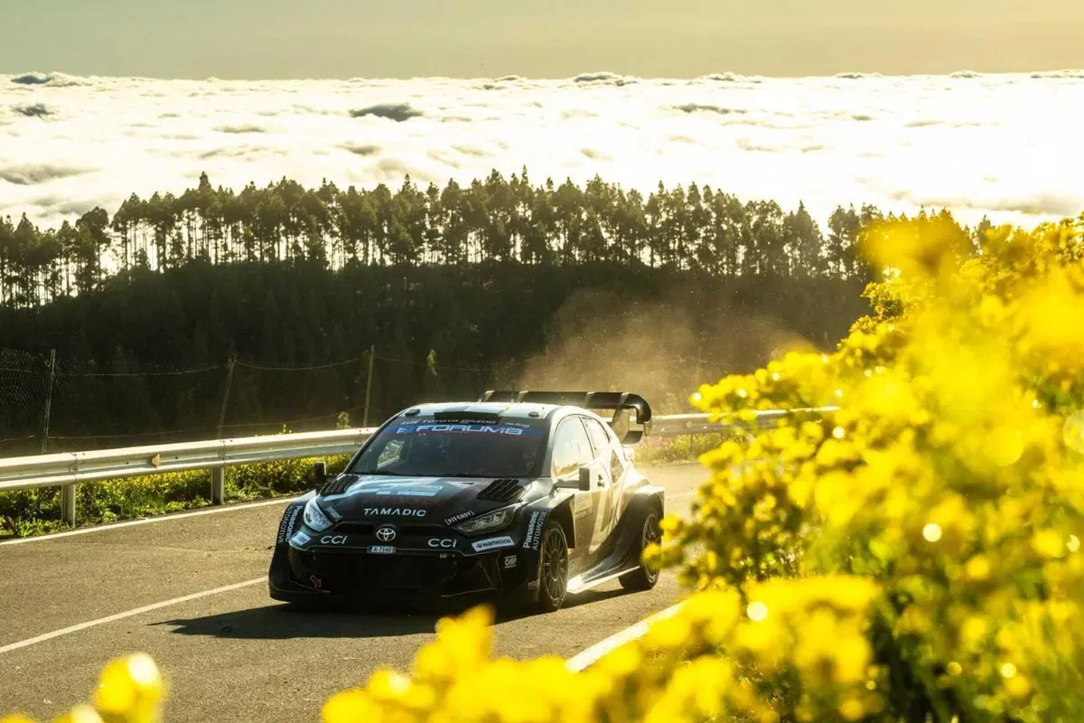WRC25 Islas Canarias. 5 Toyota al comando (per ben incominciare) [GALLERY] (14)