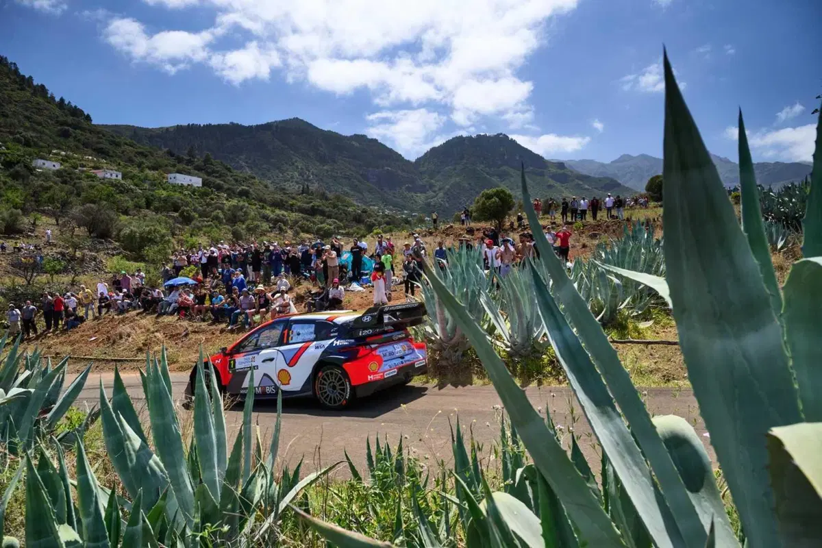 WRC25 Islas Canarias Finale. Kalle Rovanpera e Toyota: è “cappotto”! [VIDEO] (10)