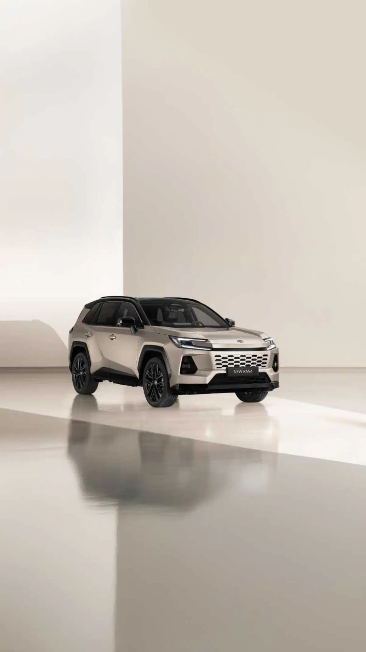 Toyota RAV4 2025 (4)