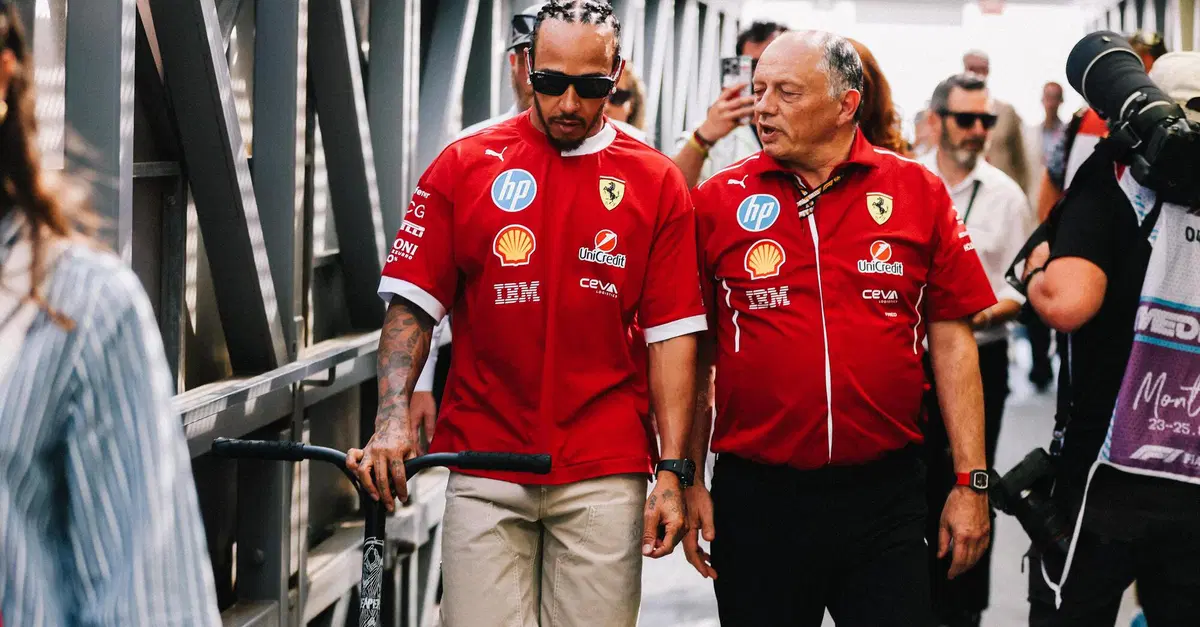 F1. GP Spagna, Vasseur: "Siamo qui per vincere, non per arrivare secondi. Dobbiamo concentrarci sulla McLaren" e sulla TD018 dice che...