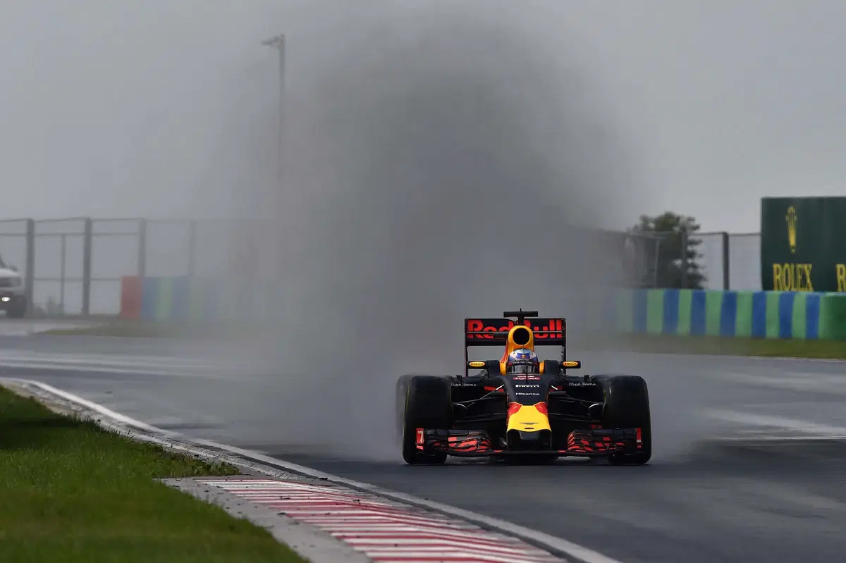 F1, Gp Ungheria 2016: pole per Rosberg (41)