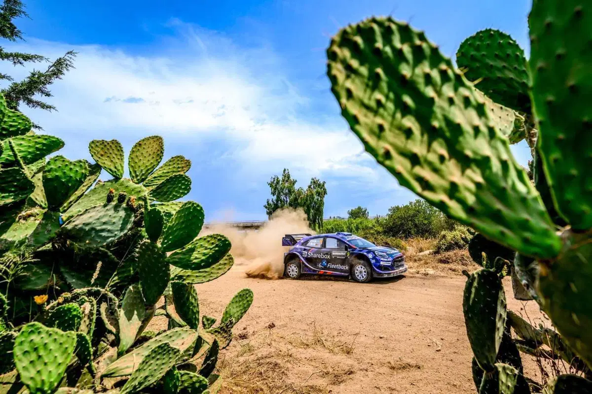 WRC25 Sardegna. “RIS”25 D1. In testa un giovane… Sébastien Ogier [VIDEO] (11)