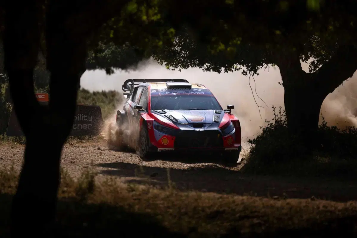 WRC25 Sardegna. “RIS”25 D2. Dopo Stash, Alex e Dario… ancora Ogier [VIDEO] (2)