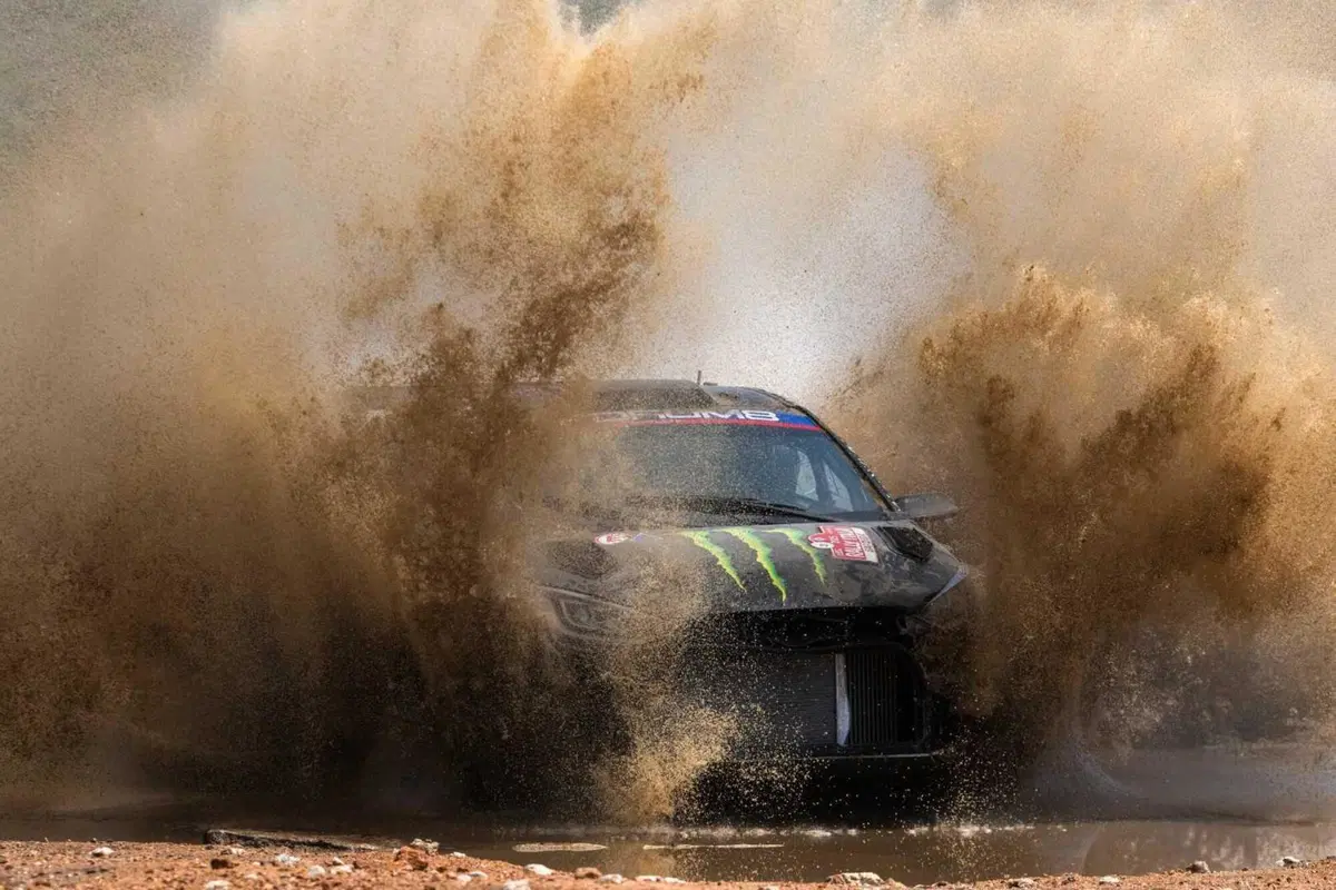 WRC25 Sardegna. “RIS”25 D2. Dopo Stash, Alex e Dario… ancora Ogier [VIDEO] (15)