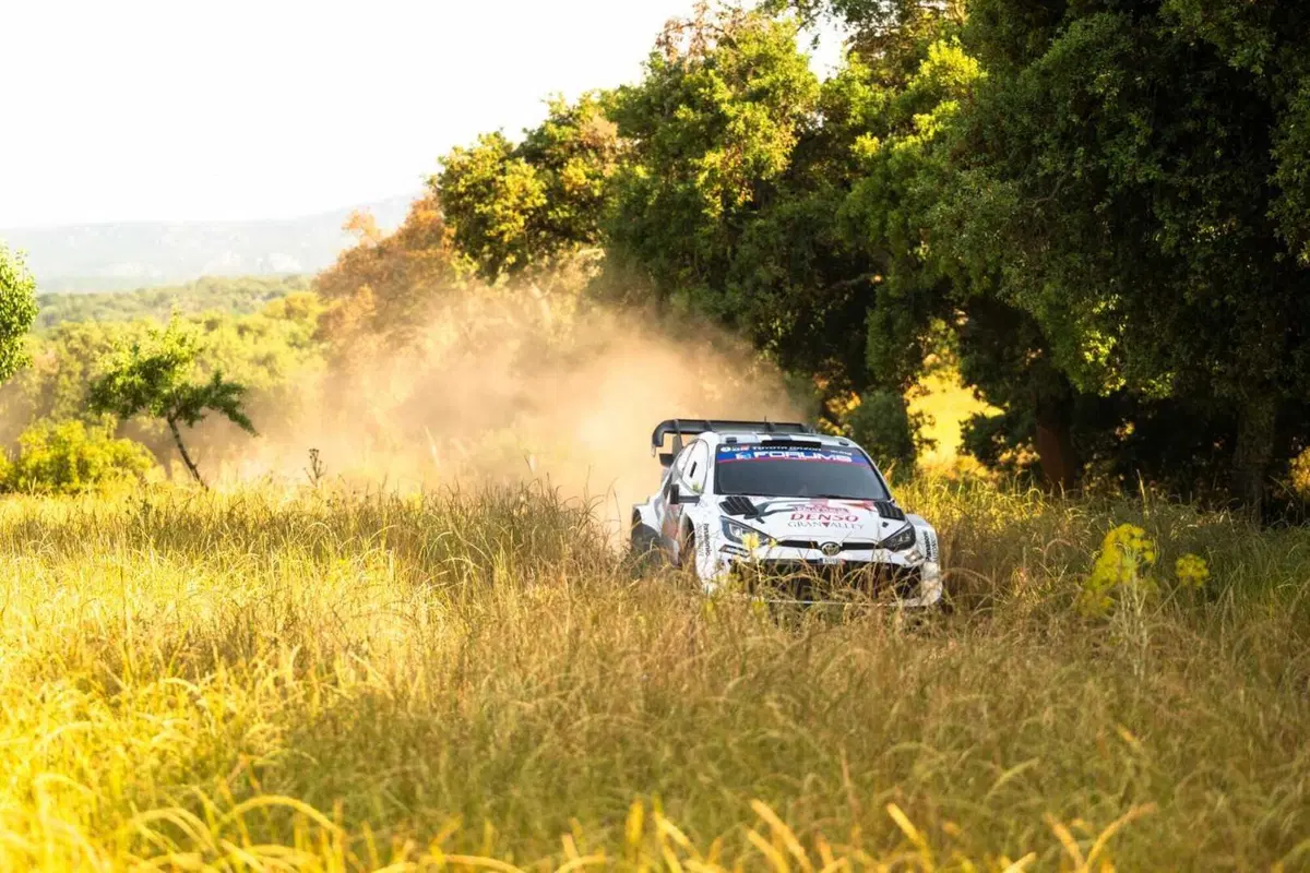 WRC25 Sardegna. “RIS”25 D2. Dopo Stash, Alex e Dario… ancora Ogier [VIDEO] (25)