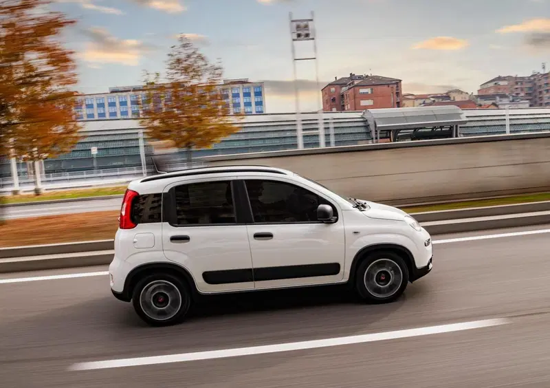 Fiat Panda (2020-->>) (2)