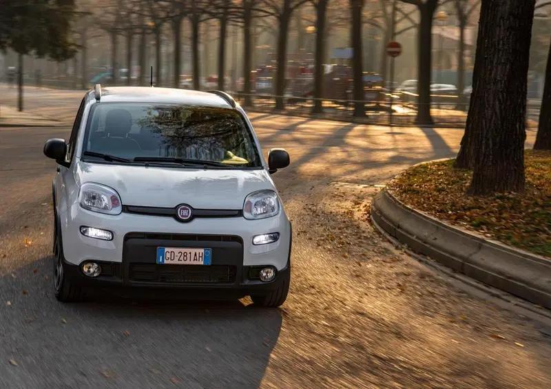 Fiat Panda (2020-->>) (3)