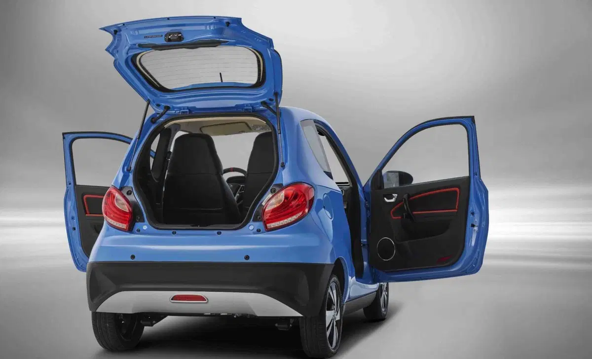 ZD ITALIA ZD D2s Bee (9)