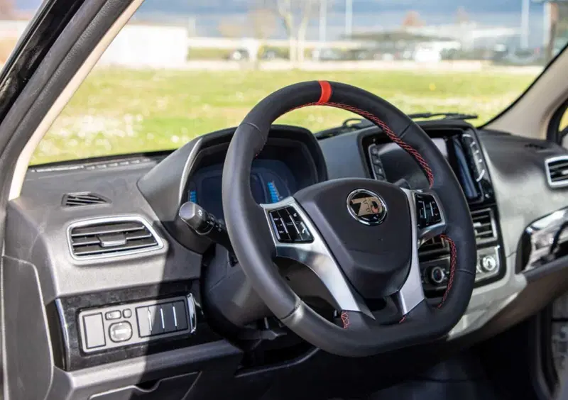 ZD ITALIA ZD D2s Bee (10)